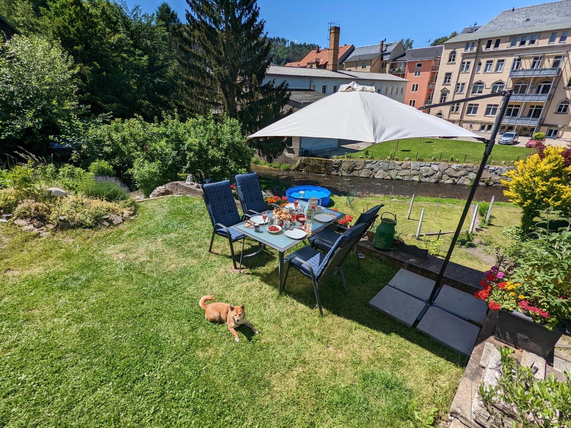 Famzi - Urlaubsmagie - Familienwohnung Mit Gemeinschaftsgarten, -Sauna & -Pool Sebnitz Exterior photo